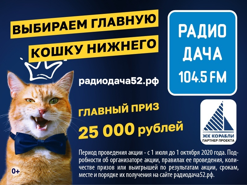 Главная кошка Нижнего Новгорода заработает 25 000 рублей - фото 1