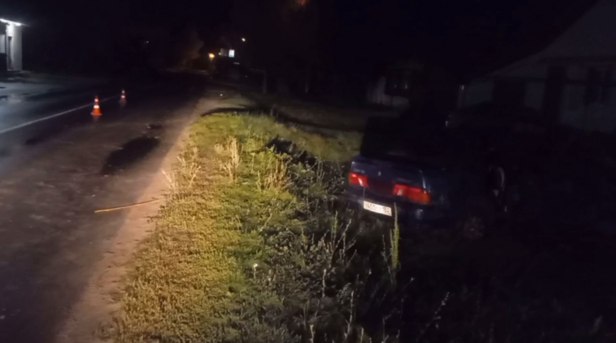 Двоих человек госпитализировали после ДТП в Нижегородской области  - фото 1