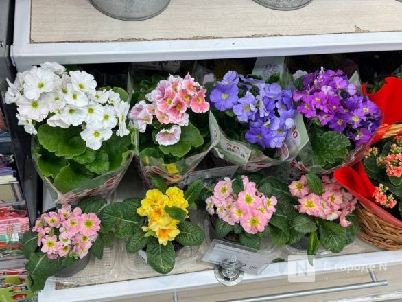 Мужчины, готовьтесь. Рассказываем, сколько стоят цветы к 8 марта в Нижнем Новгороде - фото 90