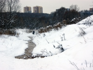 Завернутое в простыню тело мужчины обнаружено в Городецком районе
