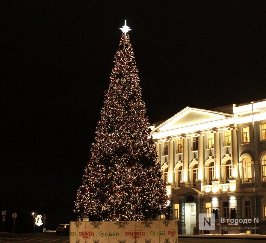 Главную новогоднюю ель установят в Нижнем Новгороде к 10 декабря - фото 1