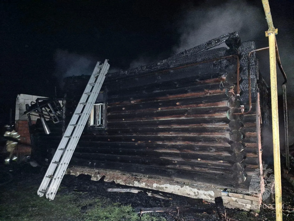 Труп пенсионера нашли после пожара в Нижегородской области - фото 1