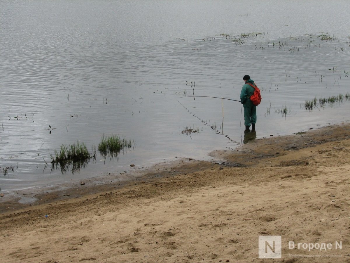 300 человек будут охранять рыбу во время нереста в Нижегородской области - фото 1