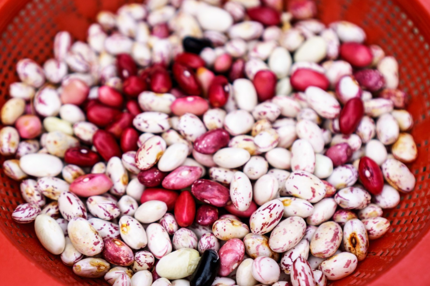 Кстовчанку осудили на три года за &laquo;Волшебные бобы&raquo; - фото 1