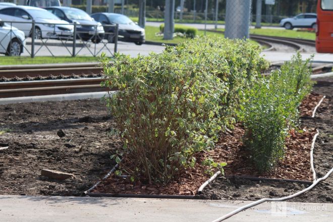 Благоустройство &ndash; 2025: как меняется площадь у Автозаводского универмага в Нижнем Новгороде - фото 72