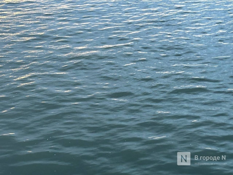Два человека утонули в Нижегородской области 9 июля - фото 1