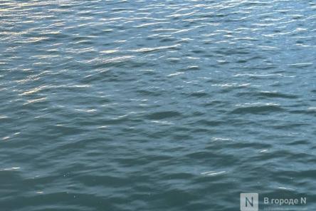 Тело ребенка нашли в водоеме в Нижегородской области