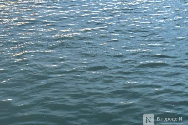 Тело ребенка нашли в водоеме в Нижегородской области