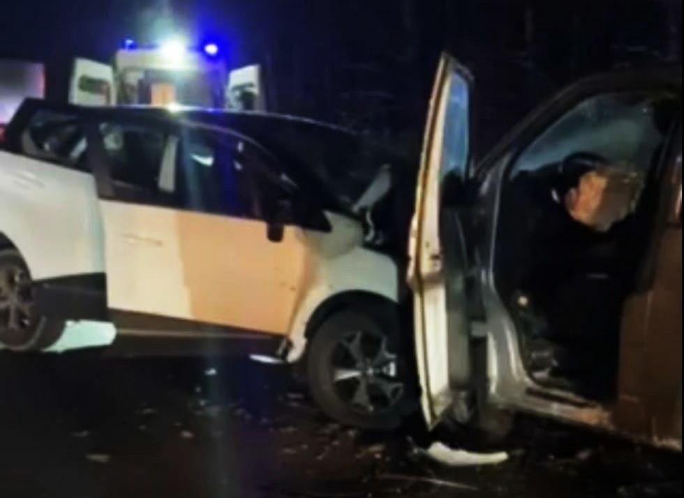 Водитель и две пассажирки погибли в столкновении иномарок в Лысковском районе - фото 1