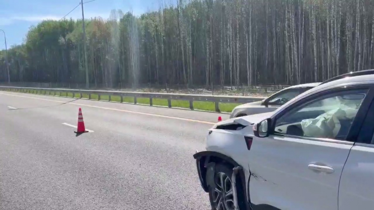Женщина и годовалый ребенок пострадали в ДТП на М-12 в Нижегородской области - фото 1