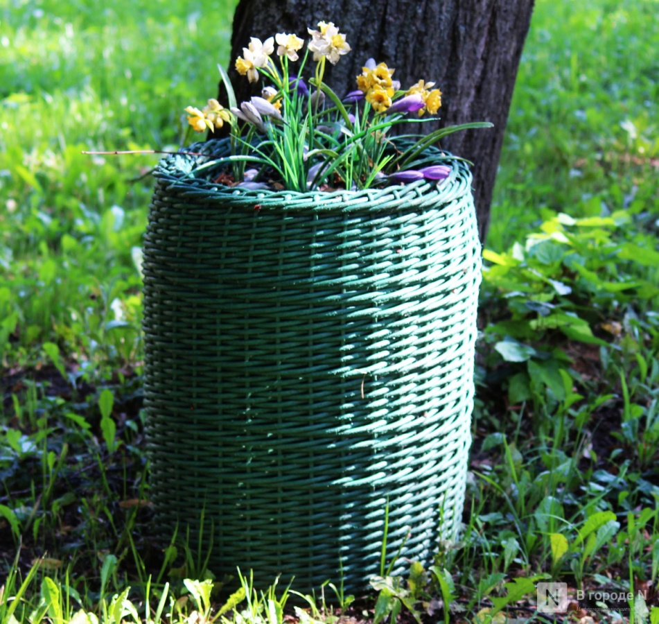 Фотозона &laquo;Посидим-почирикаем&raquo; появилась в центре Нижнего Новгорода - фото 3