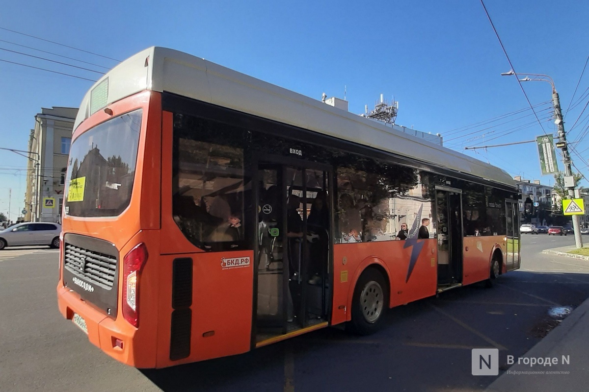 Маршруты меняются, проезд дорожает: как будет ходить транспорт в Нижегородской области в апреле - фото 4