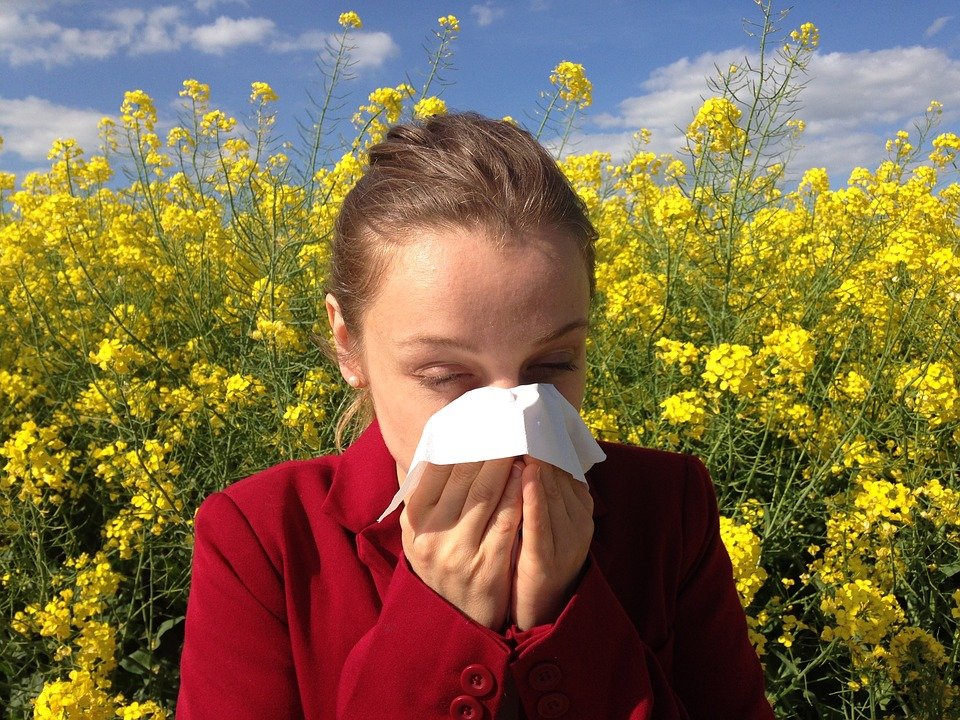 8 самых популярных мифов об аллергии, и почему им не стоит доверять