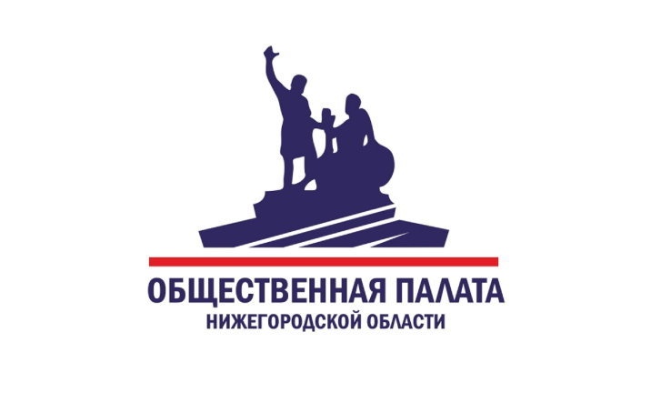 Нижегородцы поучаствовать в видеонаблюдении за выборами губернатора - фото 1