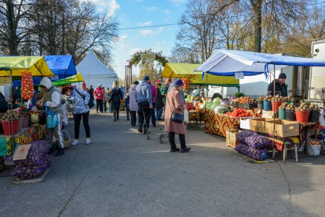 Ярмарка фермерских продуктов &laquo;Осенний дар&raquo; пройдет в Нижнем Новгороде в выходные - фото 2