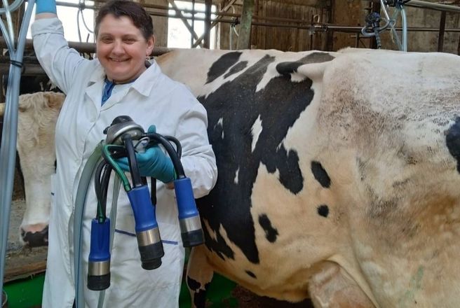 Лучшие нижегородские доярки с одной коровы получают за год свыше 13 тысяч килограмм молока - фото 3