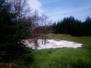 Предприниматель залил молочной сывороткой овраг в Воротынском районе