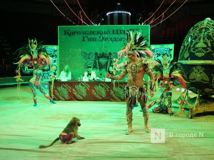 Возвращение &laquo;Бурлеска&raquo;: Нижегородский цирк открывается уникальным шоу Гии Эрадзе - фото 4