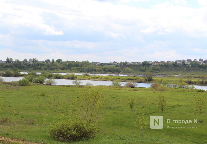 Нижегородские Артемовские луга могут стать природным парком - фото 1