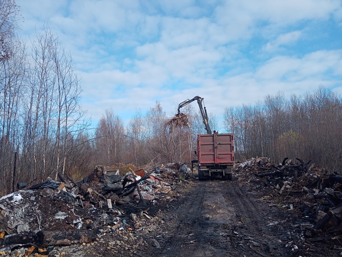 Несанкционированную свалку в 800 кубометров ликвидируют в Автозаводском районе - фото 1