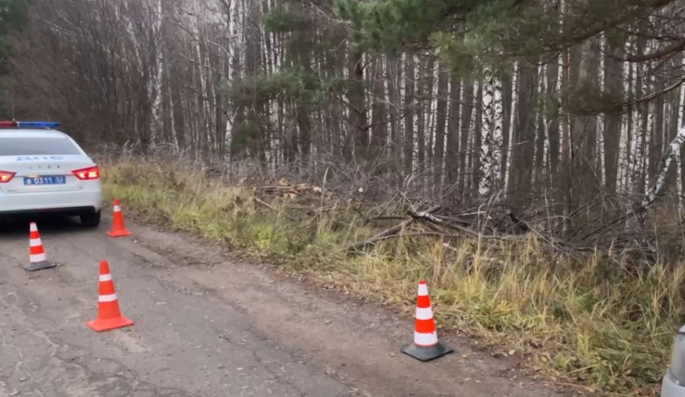 Пассажирка квадроцикла пострадала в ДТП в Нижегородской области - фото 1