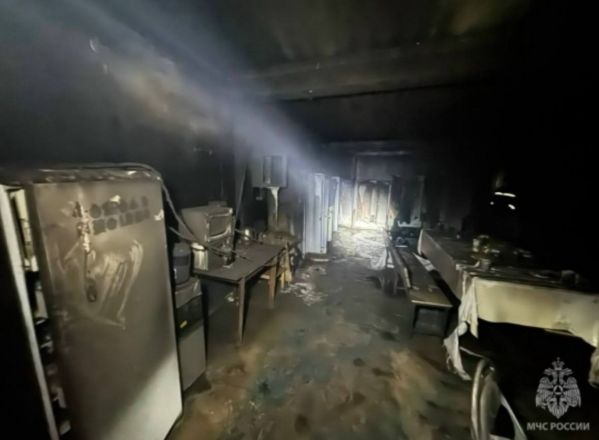 Мощный пожар произошел в промышленной зоне в Нижнем Новгороде - фото 1