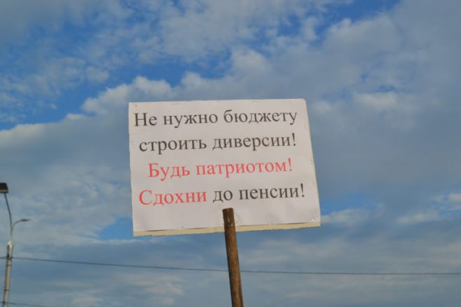 В Нижнем Новгороде приняли резолюцию против повышения пенсионного возраста (ФОТО) - фото 8